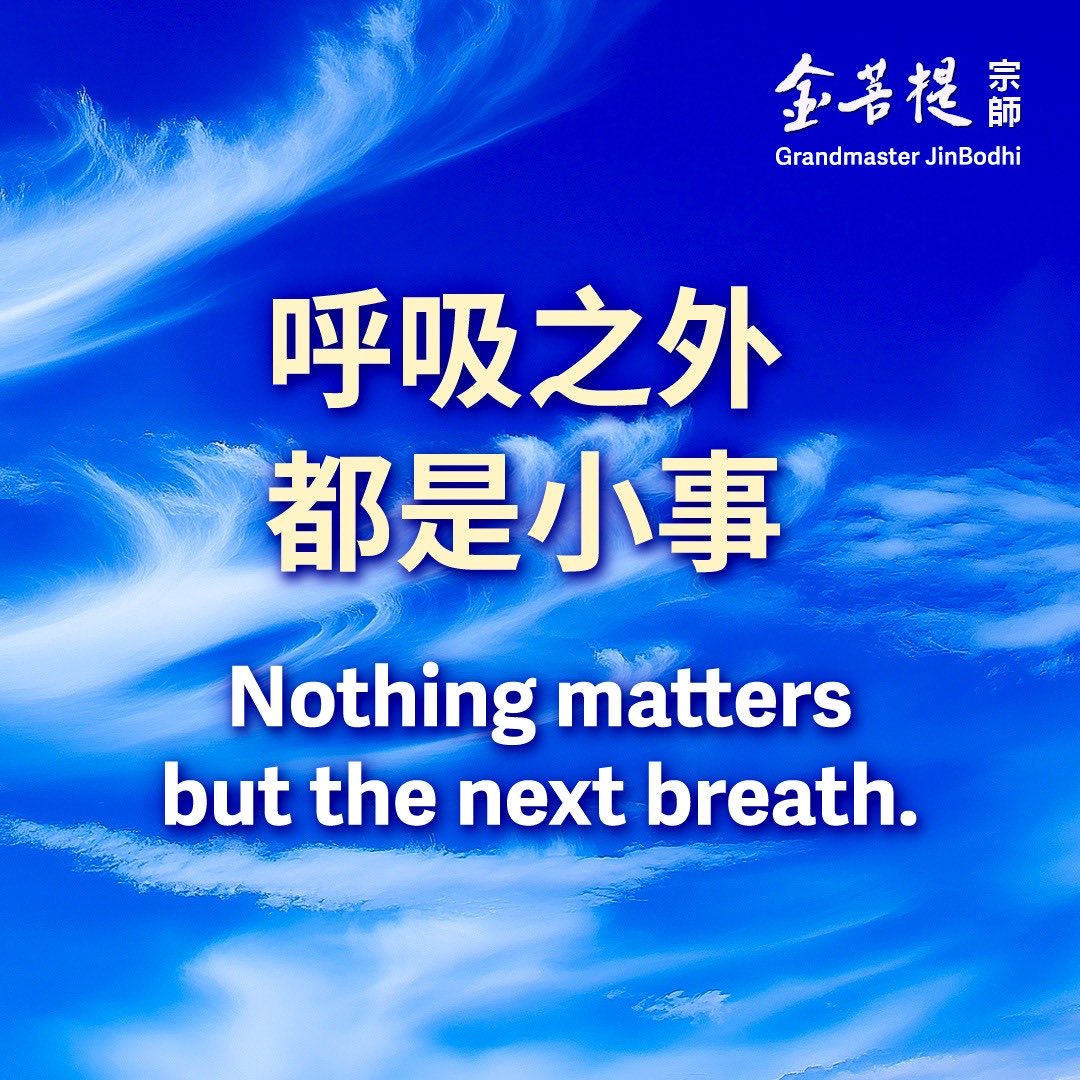 金菩提宗师 Master JinBodhi tweet media