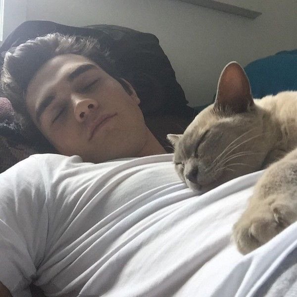 luca starling tweet media