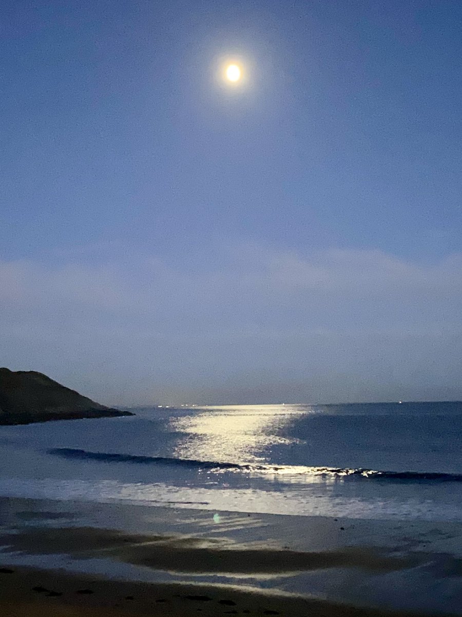 Linda Davies tweet media