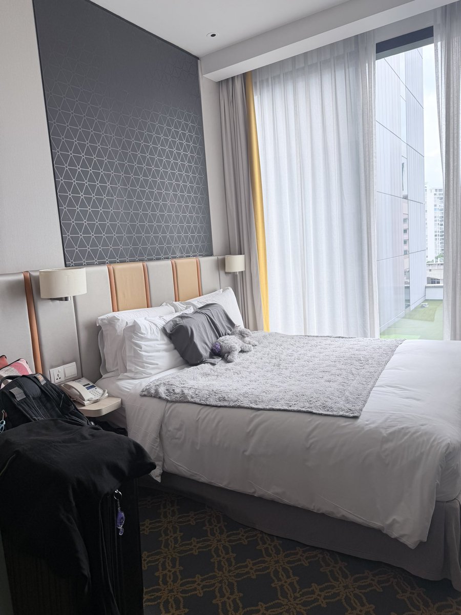 ⋆˖ ࣪⭑cove ⊬ tweet media