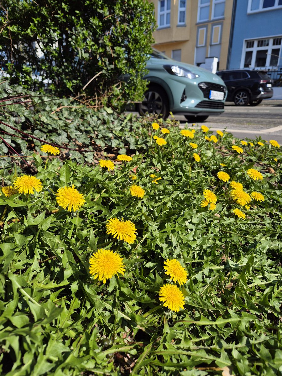 Europe 🇪🇺 tweet media