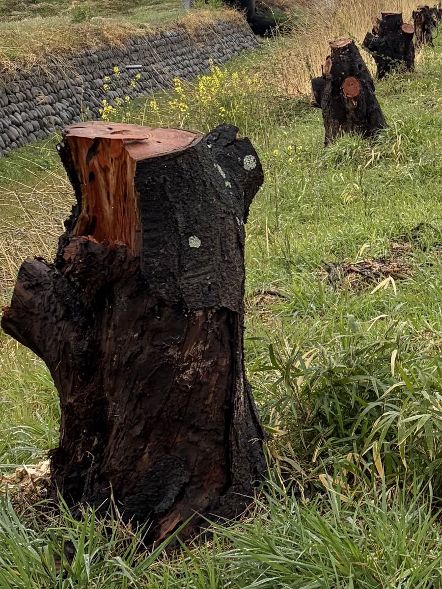 save直me tweet media