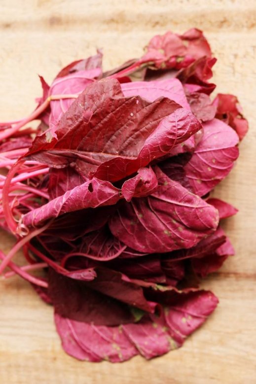 Aldo Ibarra tweet media