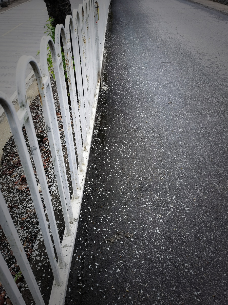 Ali öztürk tweet media