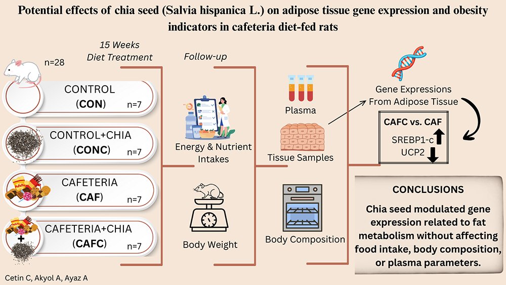 ijvnr_journal's tweet photo. The latest work from Hacettepe University @Hacettepe1967 by Cansu Cetin, Asli Akyol, and Aylin Ayaz is now featured in #IJVNR!

Article👉: https://t.co/2NOd7SEzvH

💡 Can chia seeds influence #obesity-related #metabolism beyond #WeightControl?

 #Nutrition #ChiaSeeds #AnimalStudy https://t.co/8EZbjirAvt