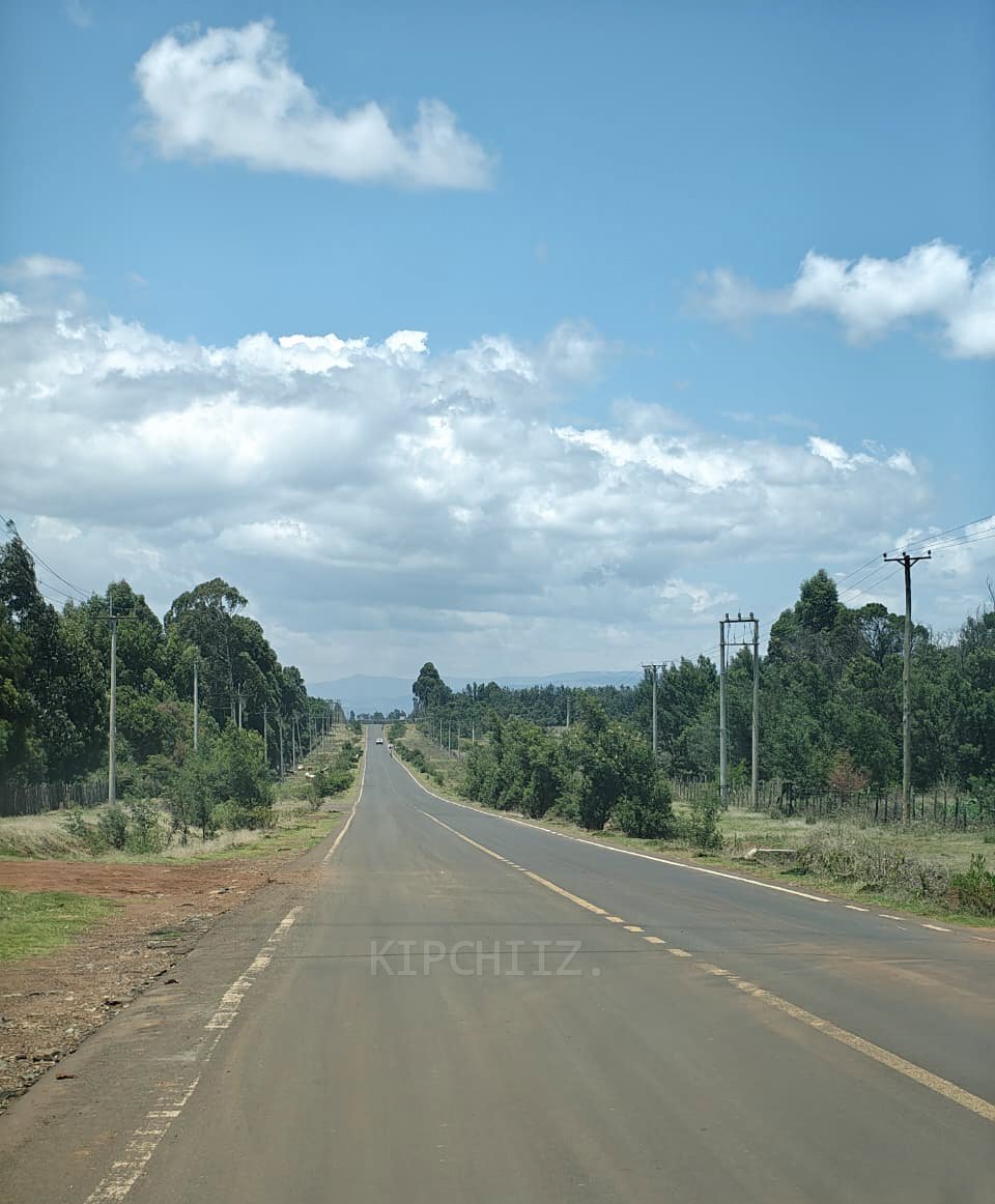 GREATNESS tweet media