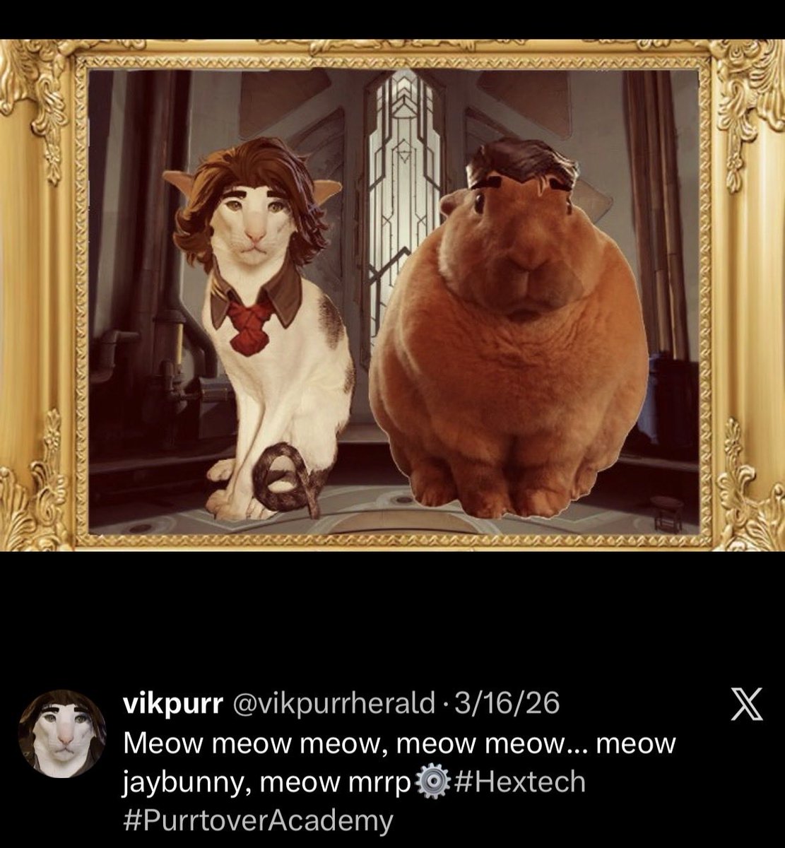 CrabsAreExpensive tweet media