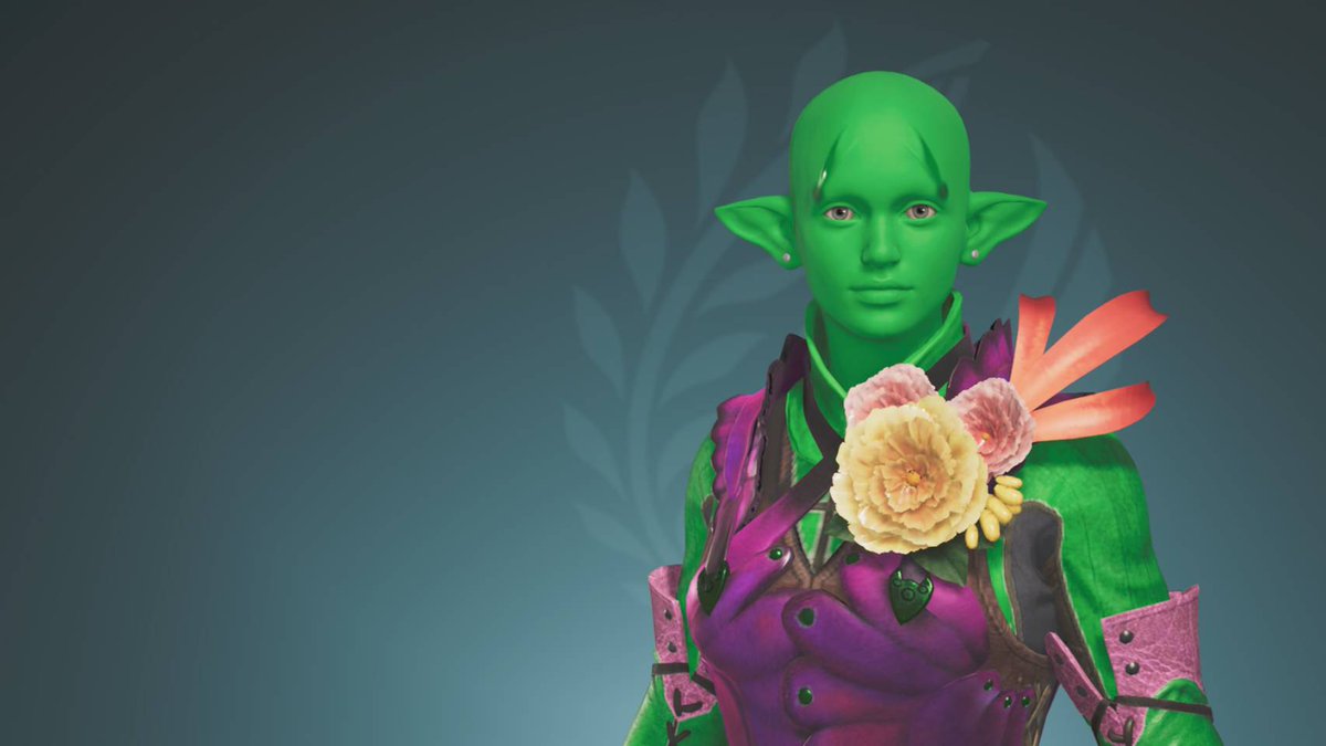 チチコリン (HN ルッコラ) tweet media