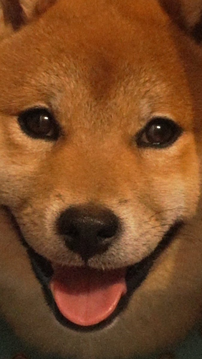 ツナボーイ🐟 tweet media