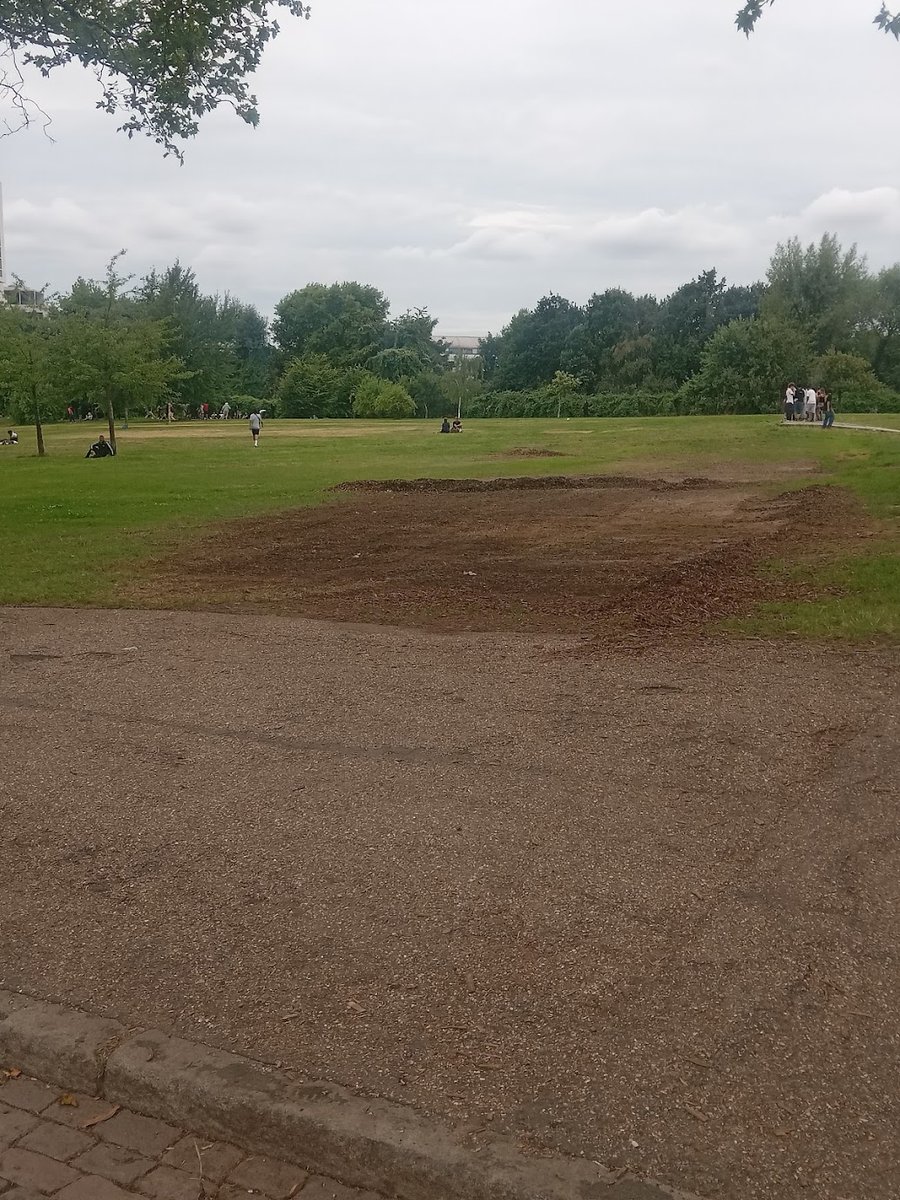 bristlingnarratives tweet media