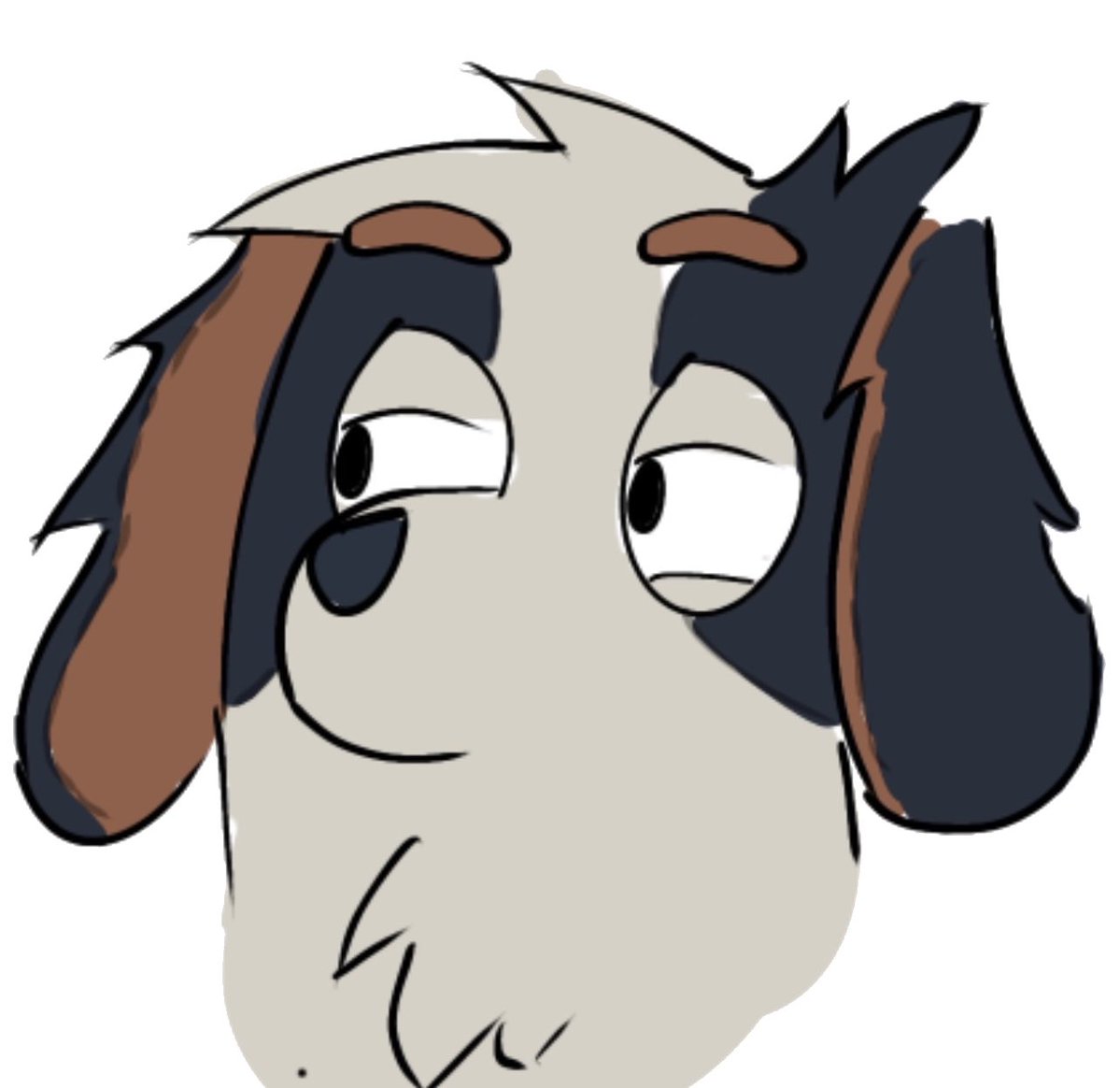 Dog Wearing Jordans tweet media