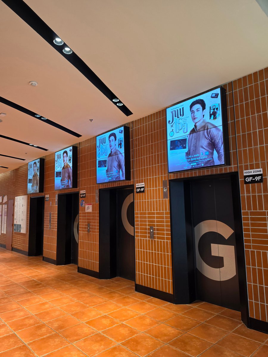 —P เพอคิวรี่ ₊˚🌷🦋⊹ ⁺ tweet media