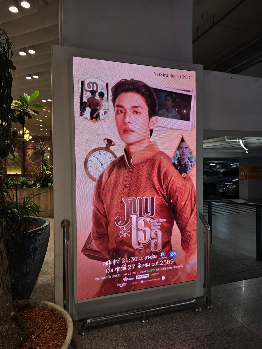 —P เพอคิวรี่ ₊˚🌷🦋⊹ ⁺ tweet media