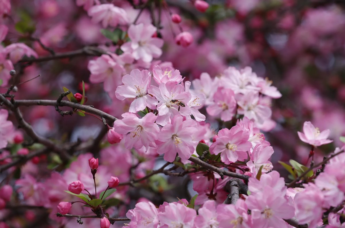 小明同学 tweet media