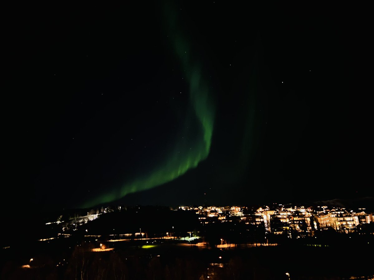 Romina Moradi tweet media