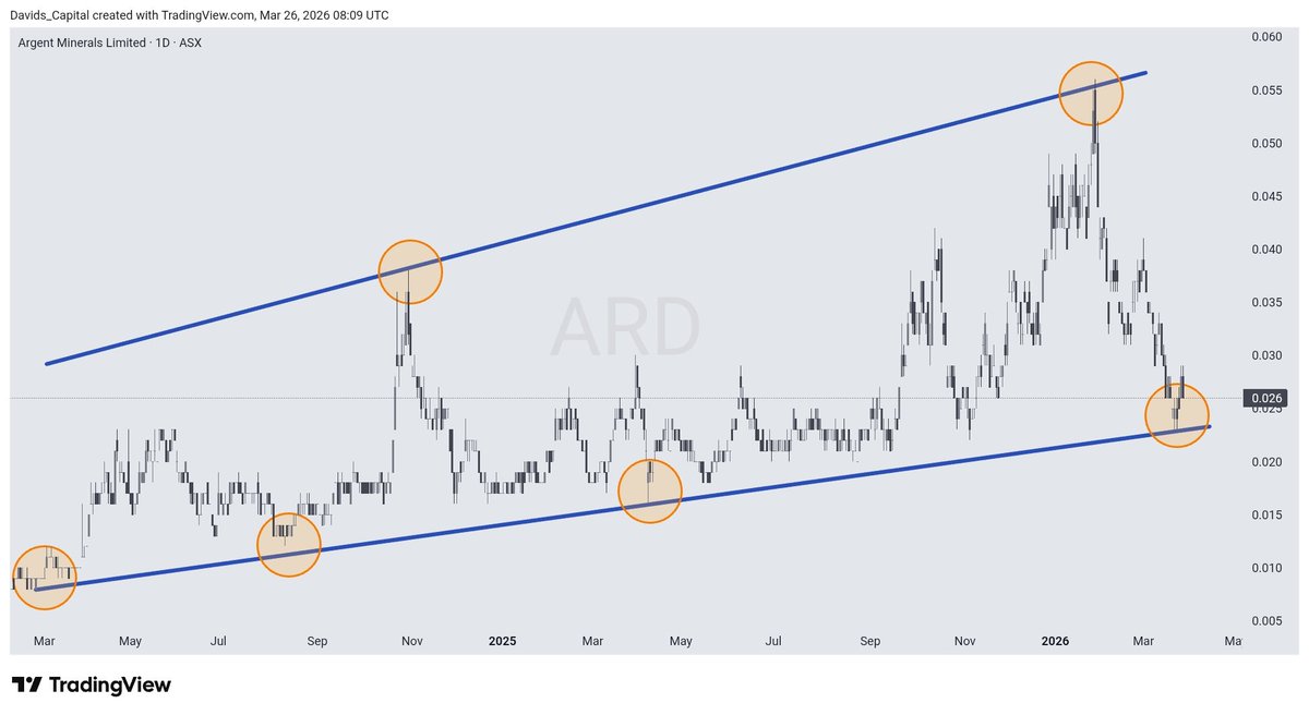 David's Capital tweet media