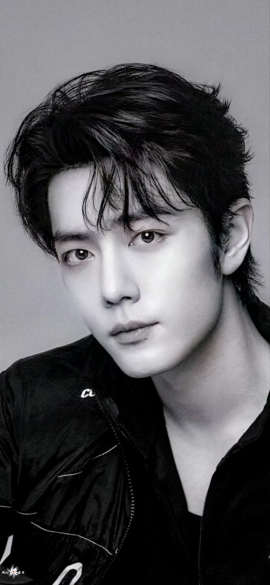 Mukie_zhanzhan_肖战's fan account tweet media