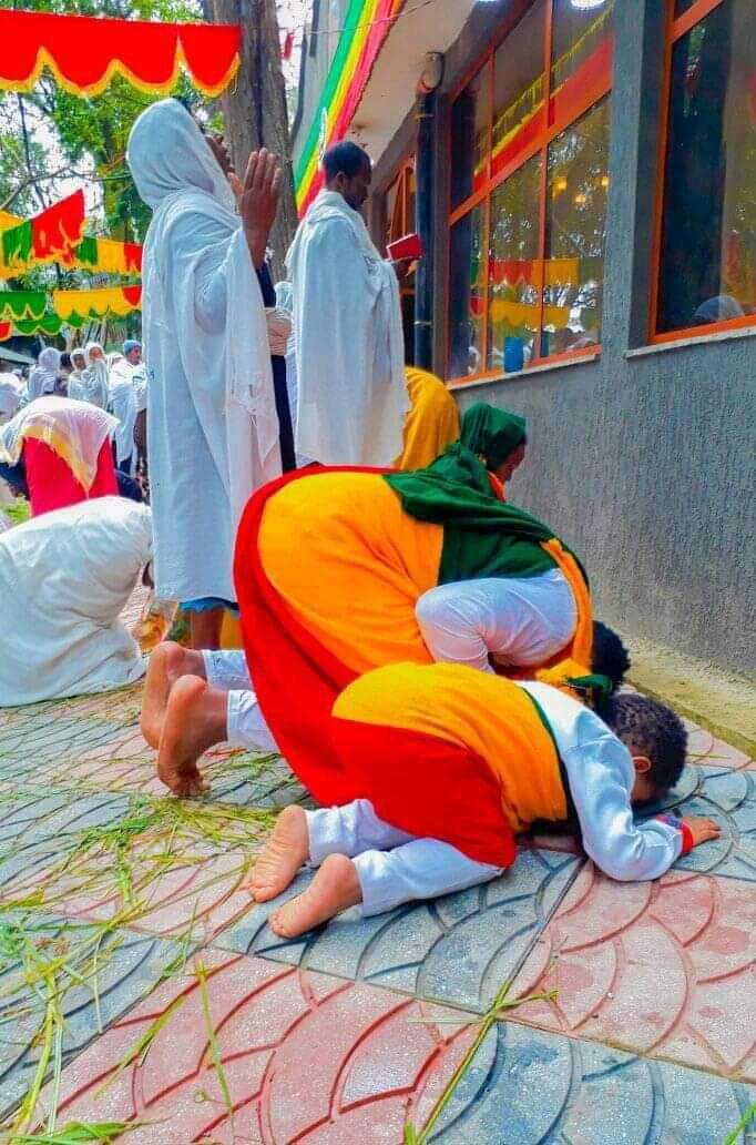 Mule FeTg (ኃይለ ሥላሴ) tweet media