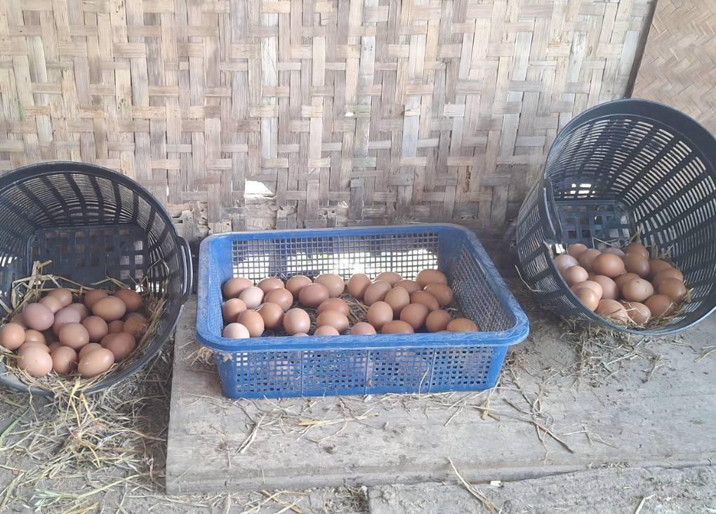 Immy 🤍 tweet media