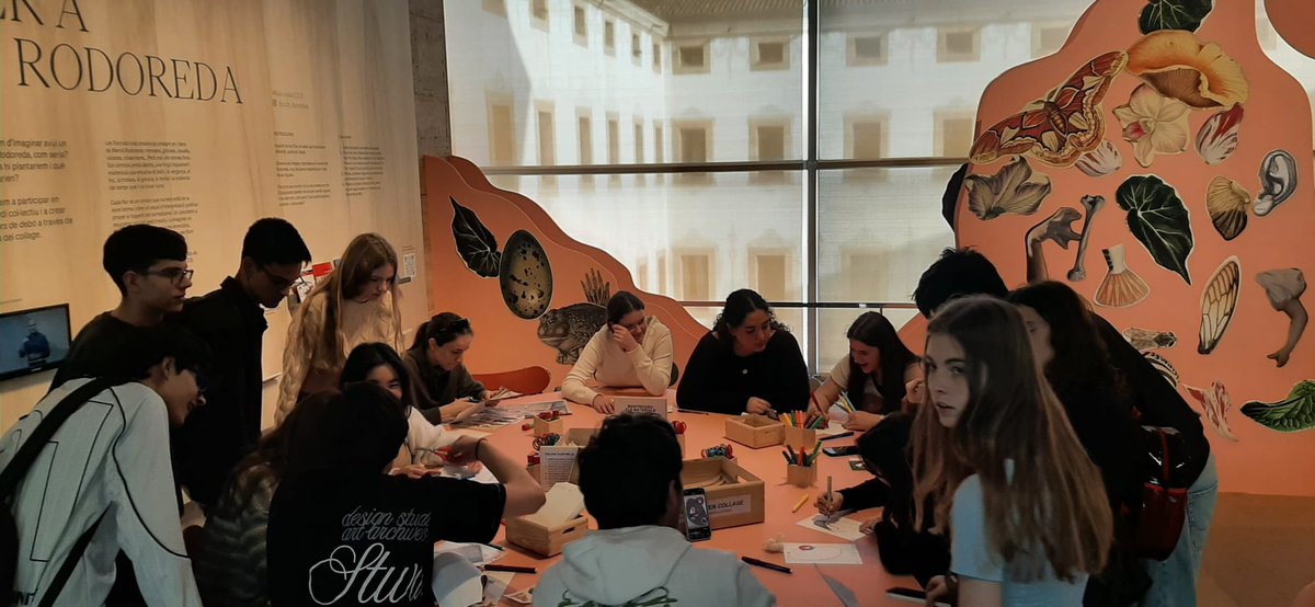 Ins Martí i Franquès tweet media