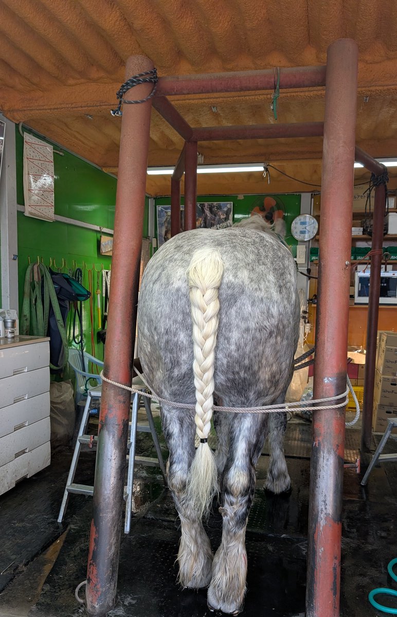 はる@馬車の人 tweet media