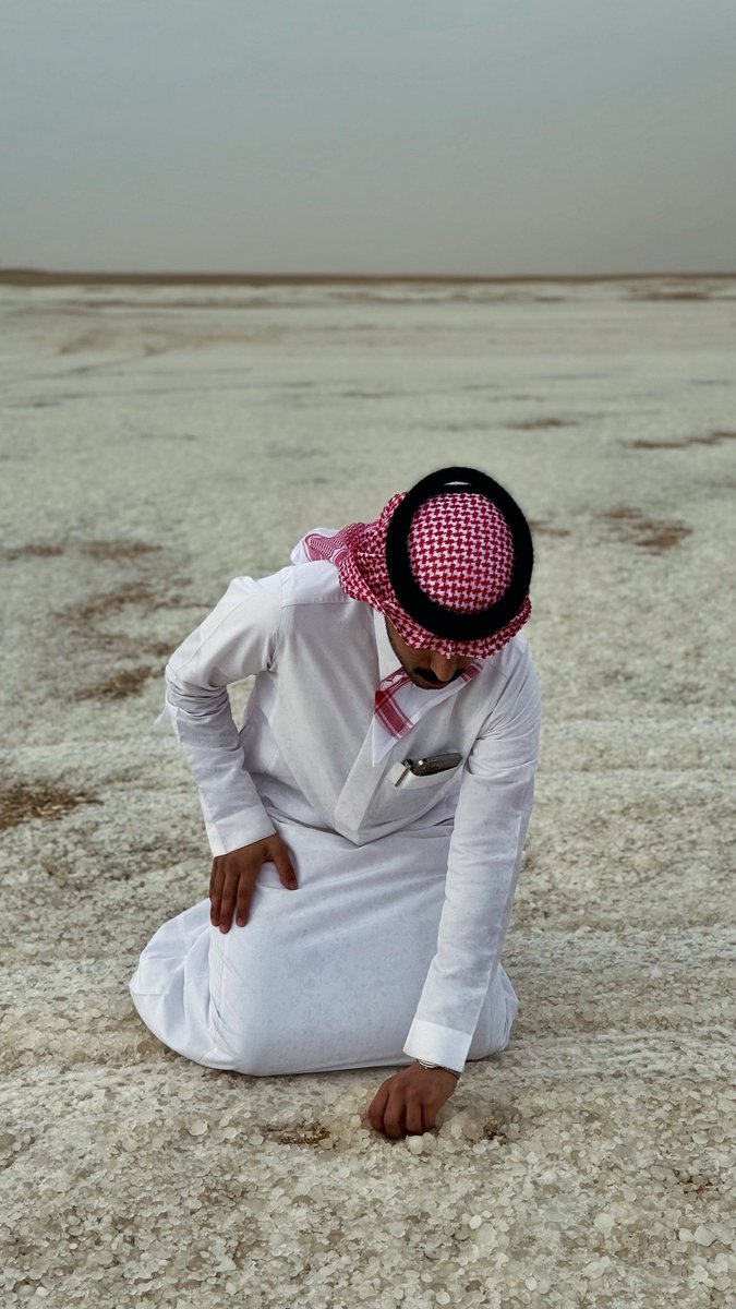 محمد ّ ـآل حمده . tweet media