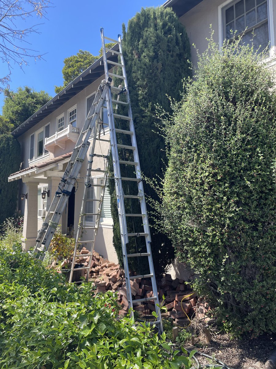 Lev Walkin tweet media