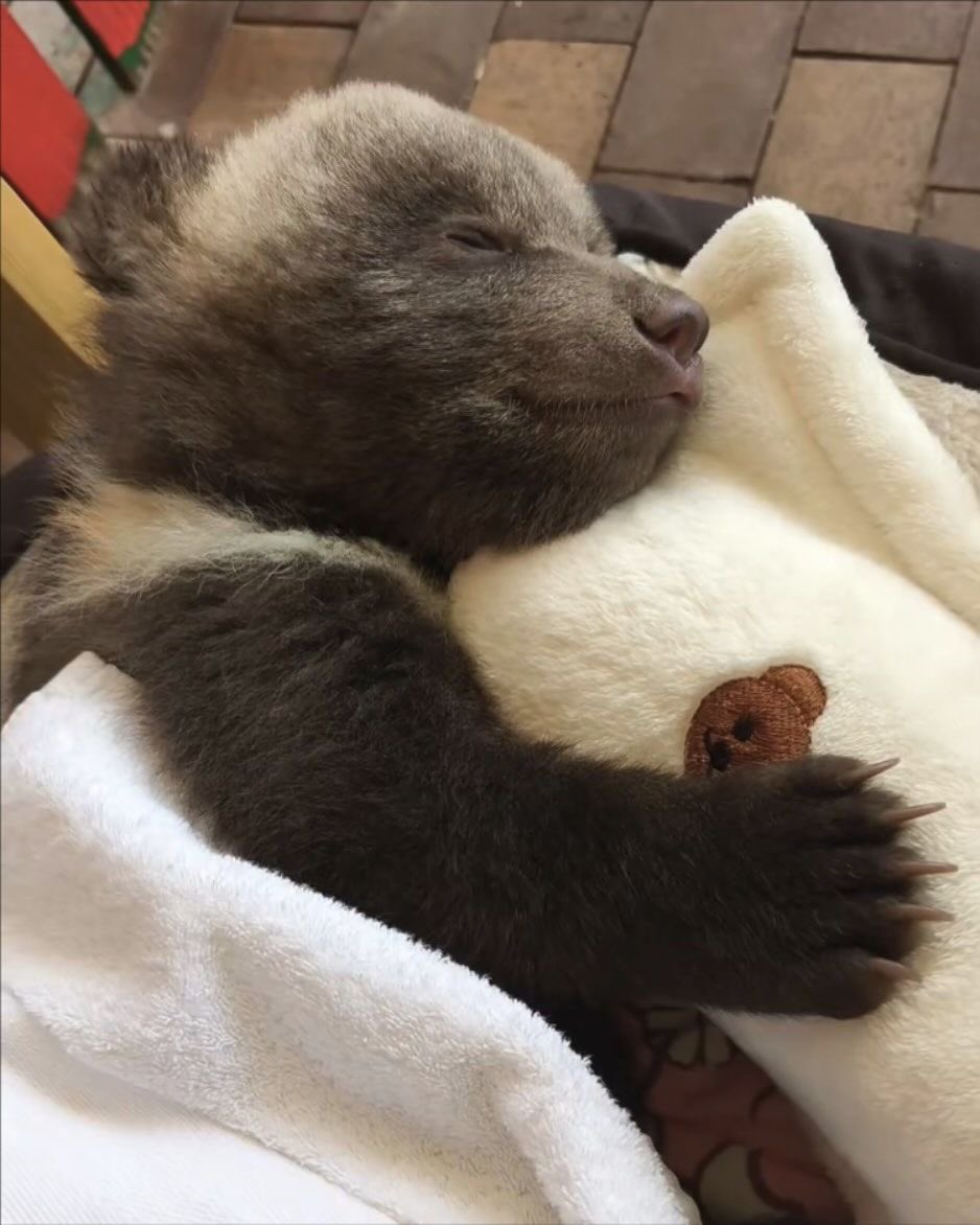 시몽키 tweet media