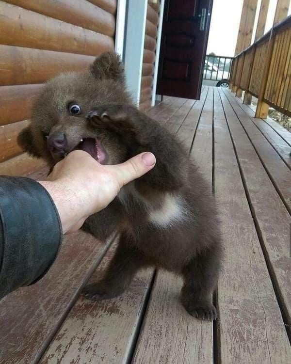 시몽키 tweet media