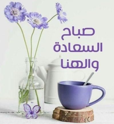 Eman⭐🇪🇬 tweet media