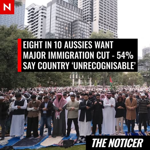 JulietteSchwartz tweet media