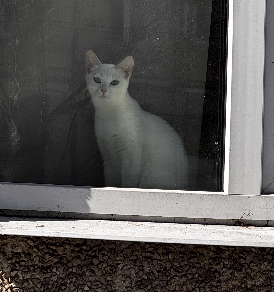 Денис Радченко tweet media