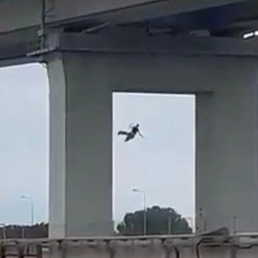 Tuğberk tweet media