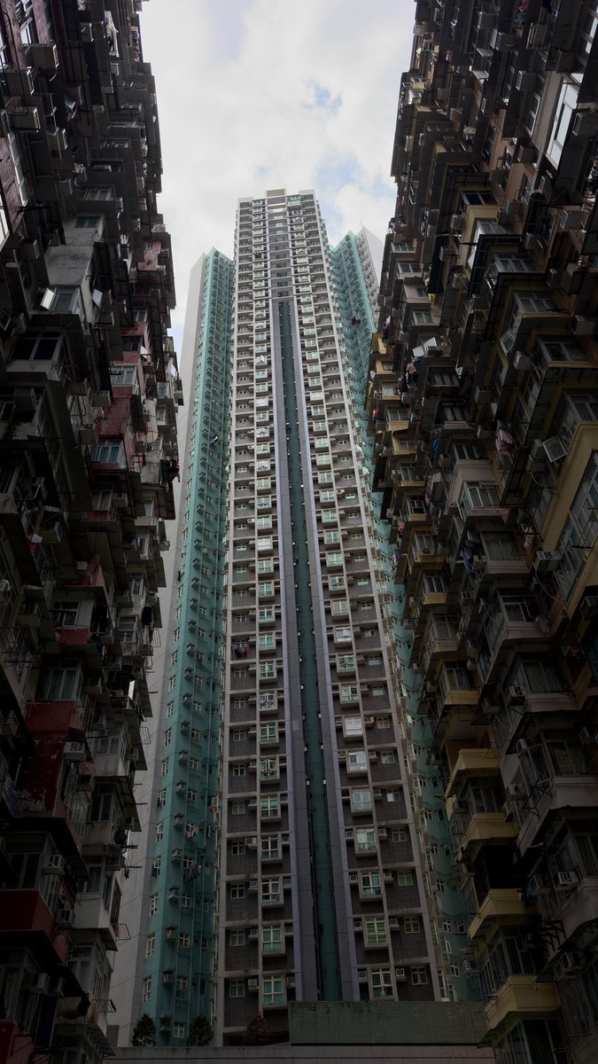 Vincent Alonzi tweet media