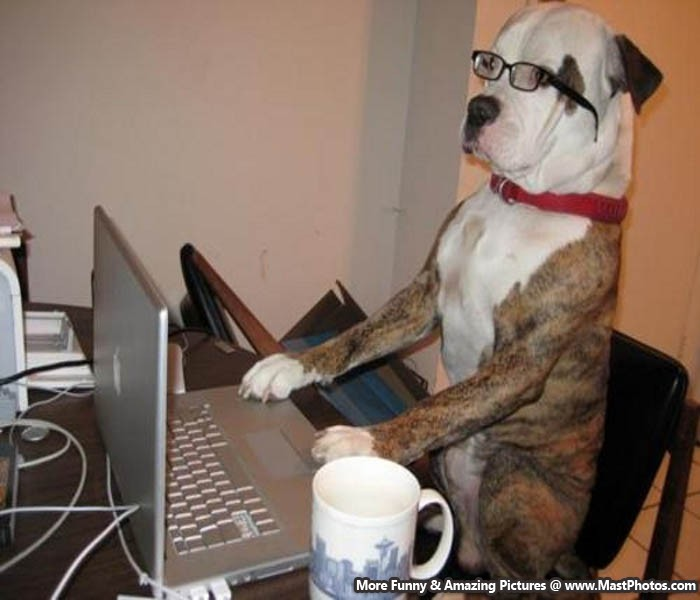 Four_FORM_'s tweet image. The AI response changed the direction slightly.

#Four #FourCommunity