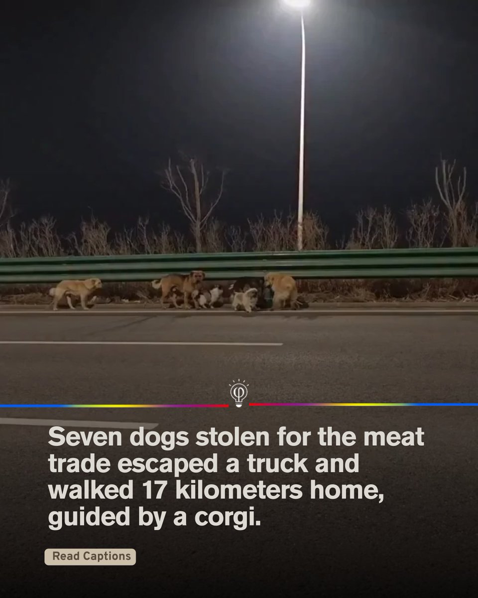 Fact Point tweet media