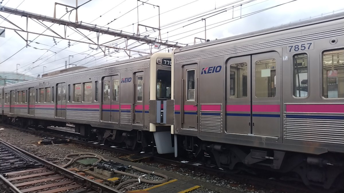 橋本りく@𝙆𝙀𝙄𝙊 tweet media