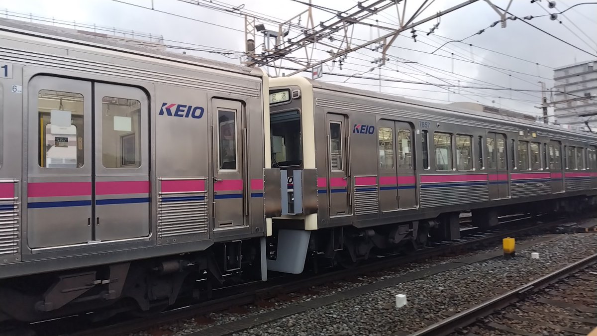 橋本りく@𝙆𝙀𝙄𝙊 tweet media