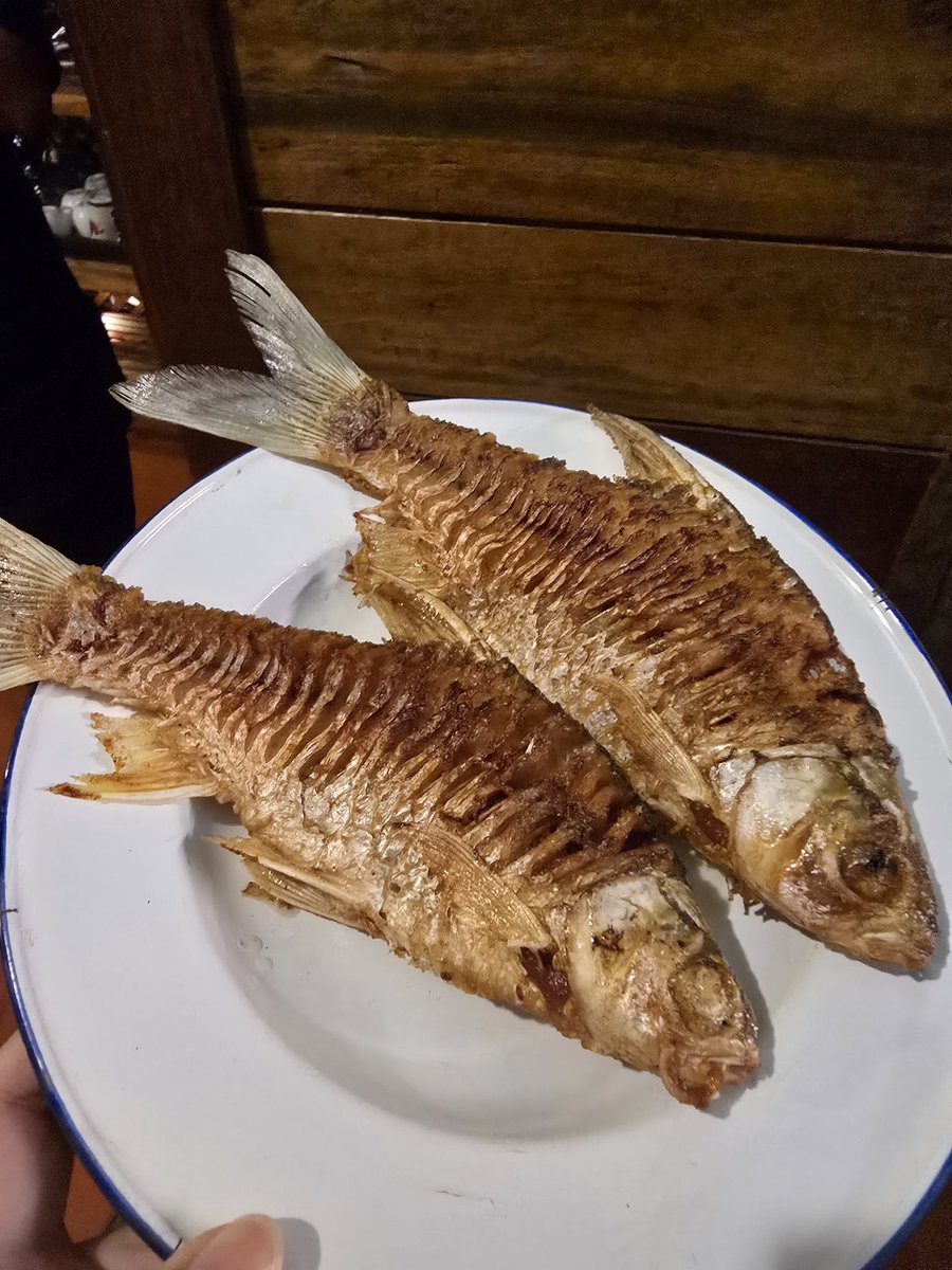 Immy 🤍 tweet media