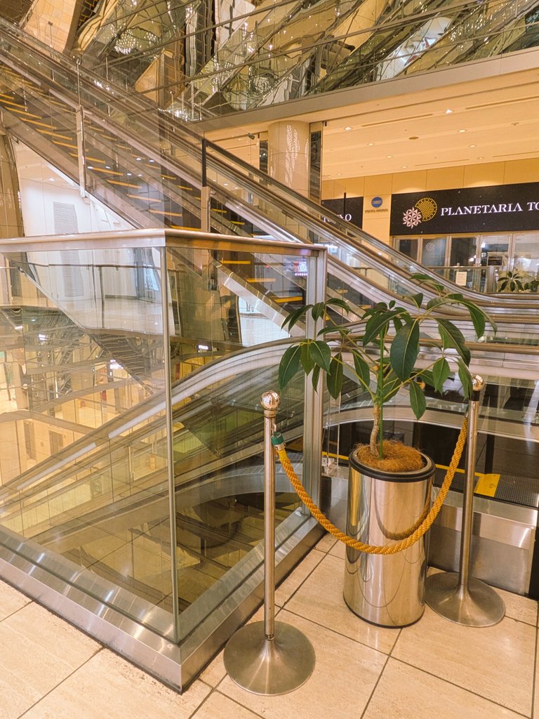 おすぎ tweet media