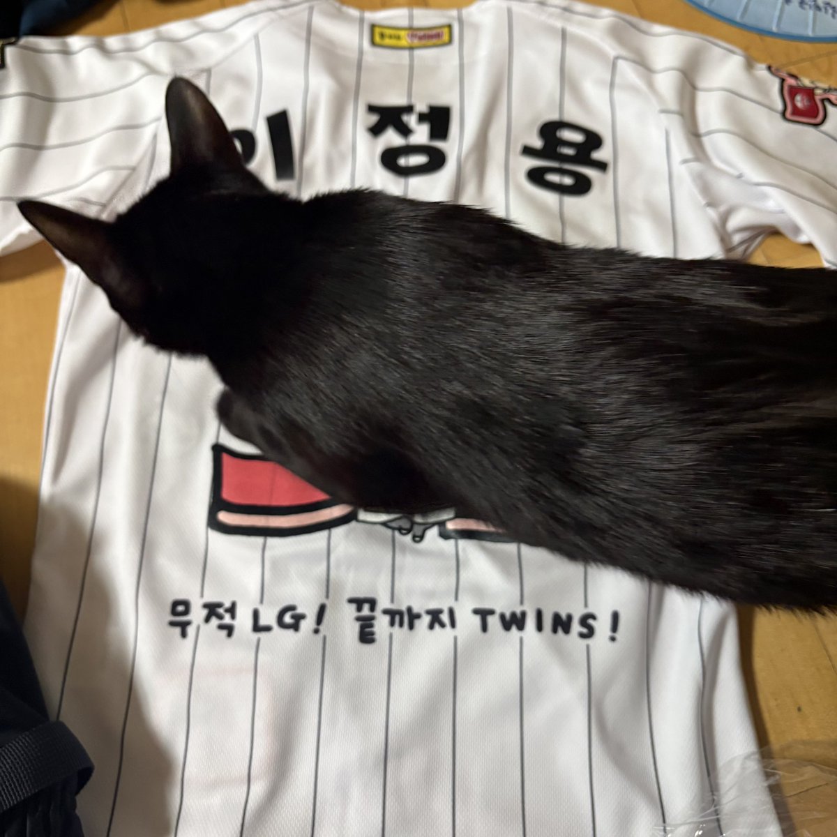 순냥이 tweet media