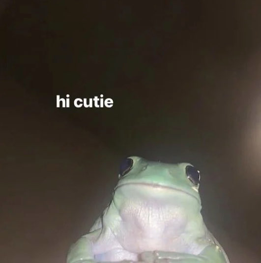  sTraNgeRs tweet media