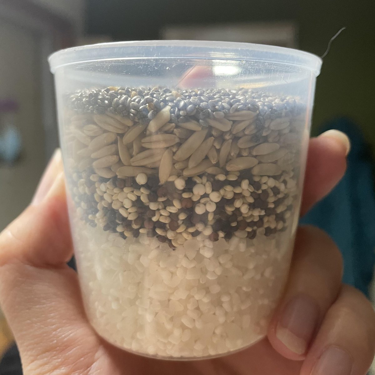 Piet Smith tweet media