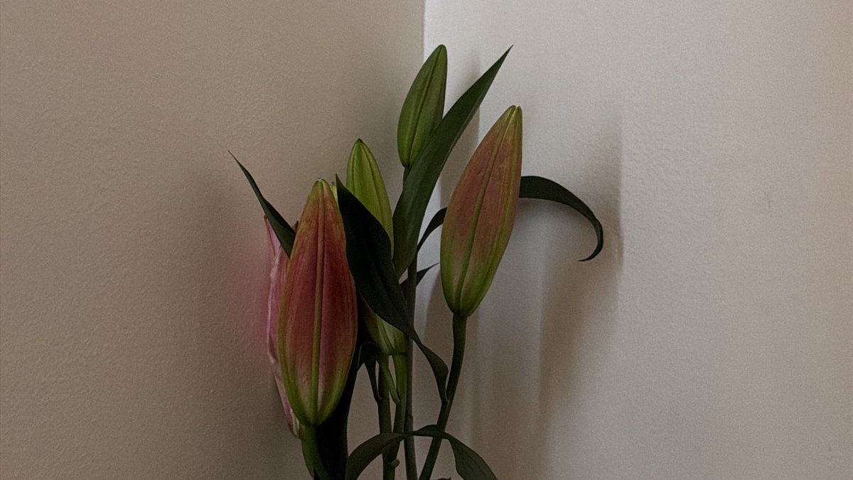 نُور | 👩🏻‍🎓 tweet media