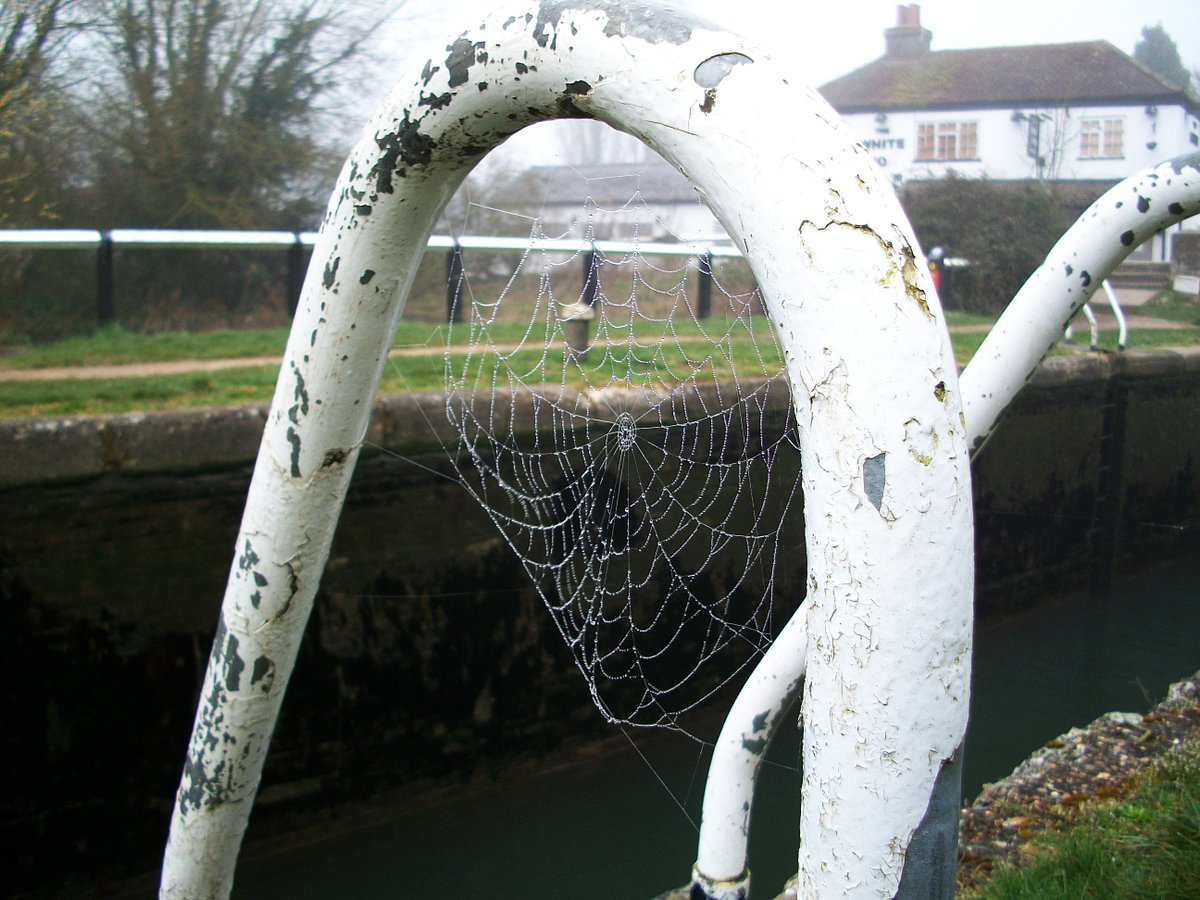 retired_tom's tweet photo. My photos from #March 2014
@CanalRiverTrust #GrandUnionCanal #WestonTurvilleReservoir #Bulbourne #Marsworth #Lock #Narrowboat #Reflections
#Canals & #Waterways can provide #Peace & #calm for your own #Wellbeing #Lifesbetterbywater #KeepCanalsAlive https://t.co/ESDBkVI3xt