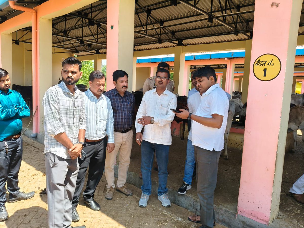 #पीलीभीत
बरखेड़ा की मूसेपुर गौशाला में बदहाल हालत।

गौशाला में भूख से तड़प कर मर रही गाय।

सचिव रूपेश पर देखरेख में बड़ी लापरवाही के आरोप।

SDM जांच में 1 मृत, 3 बीमार गौवंश मिले, लापरवाही पर नाराजगी।

कार्रवाई तय, अधिकारियों की भूमिका पर भी उठे सवाल।
<a href="/pilibhitpolice/">Pilibhit Police</a> <a href="/Dmpilibhit/">District Magistrate/ DEO Pilibhit</a>