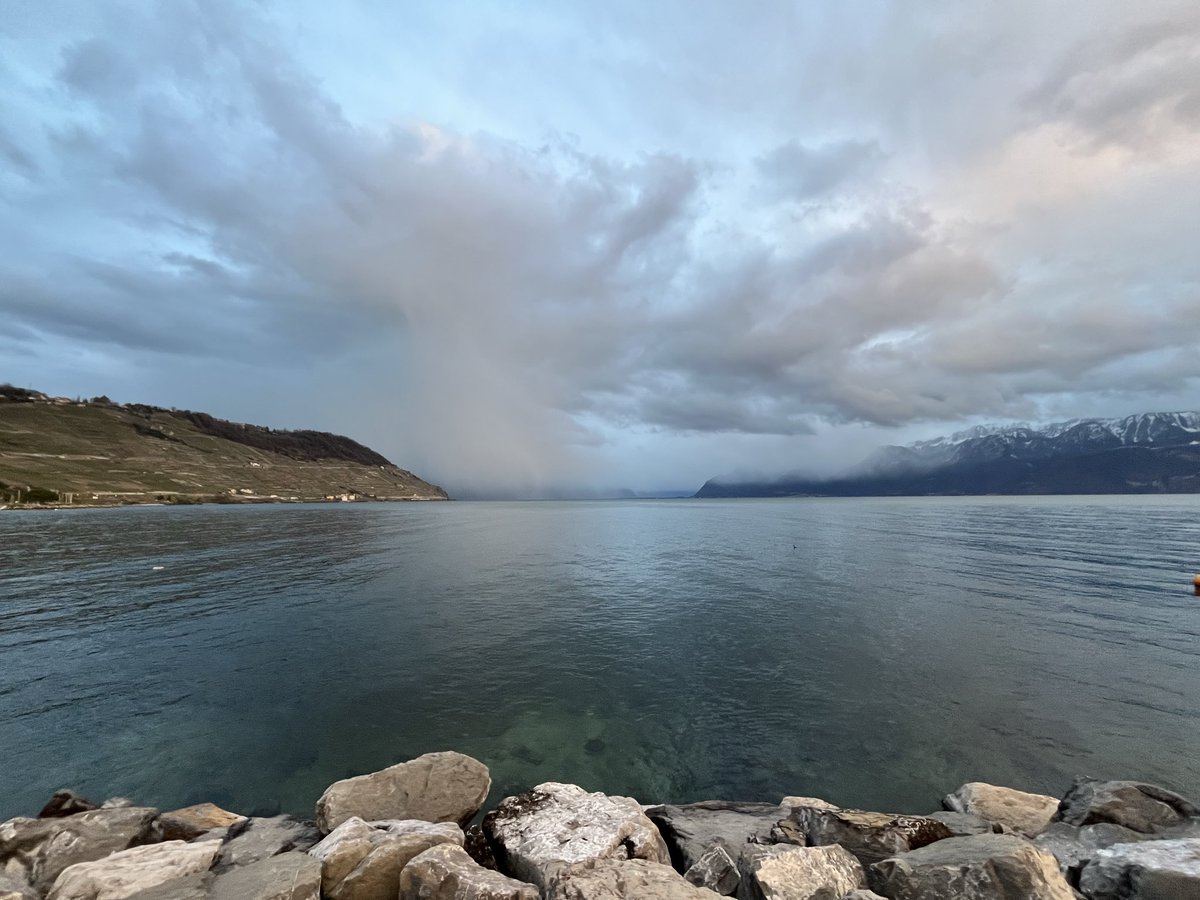 johnstontony's tweet image. And all that Jazz 🎷

Cully Jazz. Coming Soon 

10 - 18 April #Cully #Lavaux #Switzerland 🎶🇨🇭