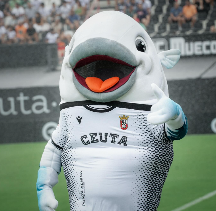 Caballati 🤍🖤🐟 tweet media