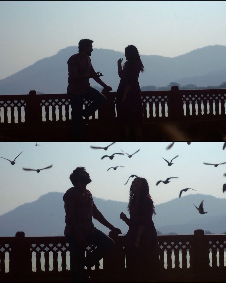 Cinema Scroll tweet media