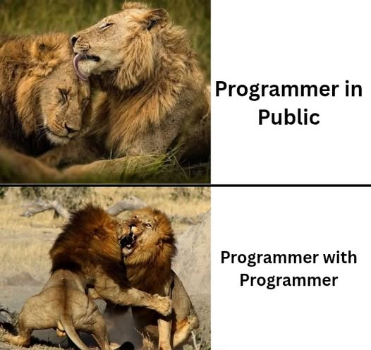 Python Developer tweet media